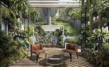Haus on Handy Vivarium Deck
